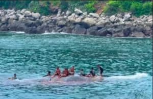 Viral Masyarakat Desa Lamalera Berenang Bareng Paus, The Real Avatar