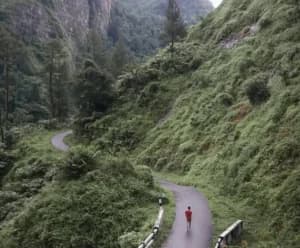 5 Hidden Gem Wisata Alam di Purbalingga yang Wajib Masuk Daftar Liburan Anda