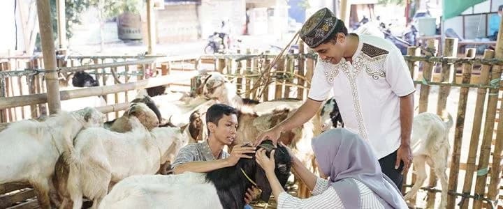 Tipe-Tipe Orang Pas Idul Adha, Kamu yang Mana?