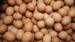 Jadi Sumber Protein Favorit, Ini Cara Memilih Telur Segar yang Aman Dikonsumsi