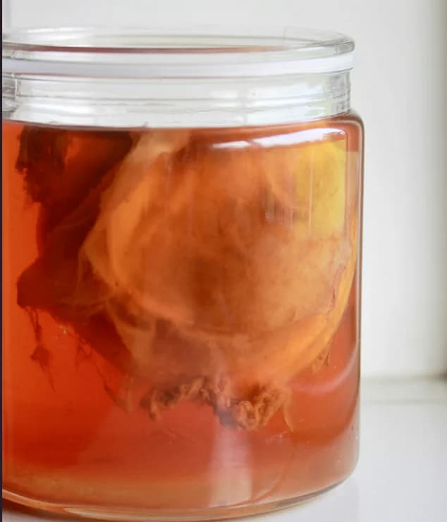 Apa Itu Kombucha? Kenali Manfaat, Kandungan, dan Cara Mengonsumsinya