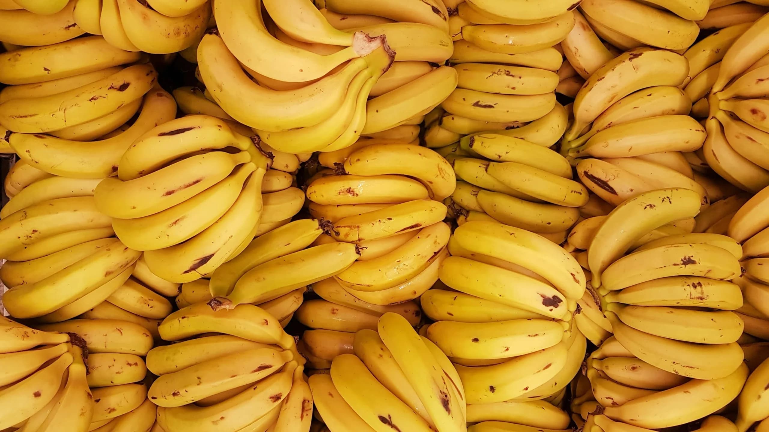 Pisang