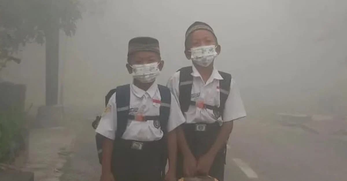 Jangan Anggap Sepele Asap Karhutla, Ini yang Bisa Terjadi pada Kesehatan