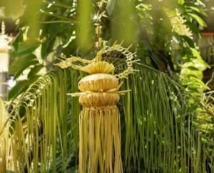 Bukan Cuma Penanda Ada yang Nikah, Ternyata Ini Filosofi Janur Kuning Jarang Diketahui!