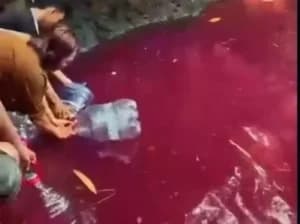 Mata Air Bogor Mendadak Berubah Merah, Warganet Sentil Indonesia Emas