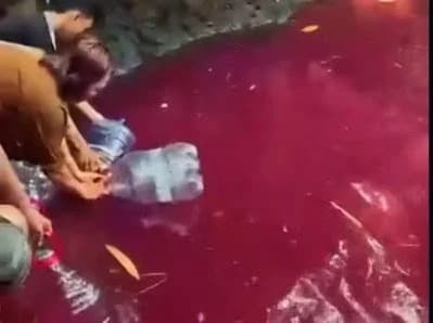Air merah di Bogor, Jawa Barat. Air merah di Bogor, Jawa Barat.