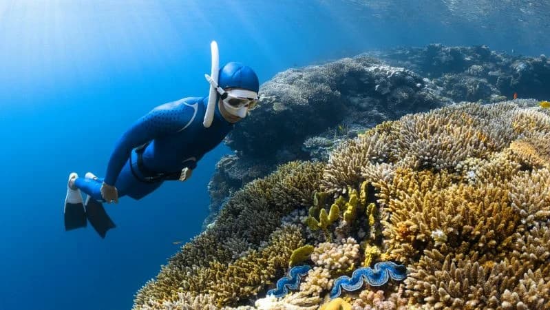Ilustrasi orang sedang diving.