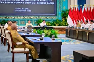 DPD RI Colek Komite Eksekutif Papua Bentukan Prabowo: Bikin Tumpang Tindih dan Tabrak UU Otsus?