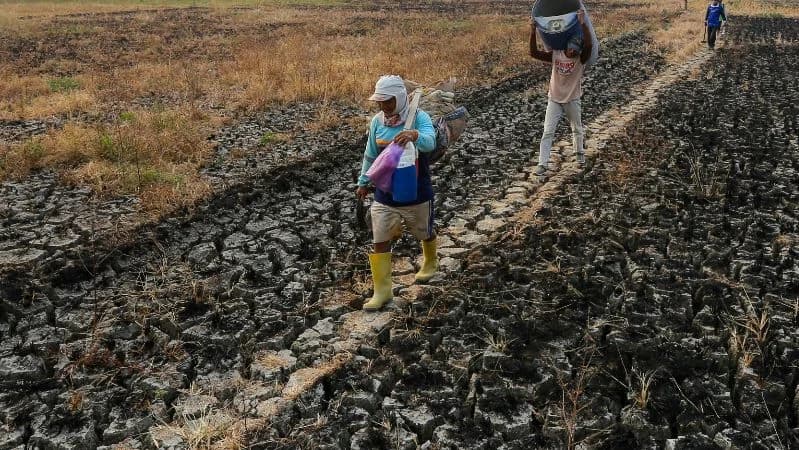Petani berjalan di atas lahan persawahan yang mengalami kekeringan di Desa Wonosoco, Undaan, Kudus, Jawa Tengah.