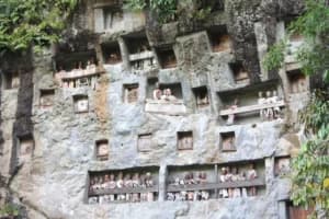 Bukan Kuburan Biasa, Jenazah di Toraja Justru Dimakamkan di Tebing Batu Puluhan Meter, Begini Kisahnya!