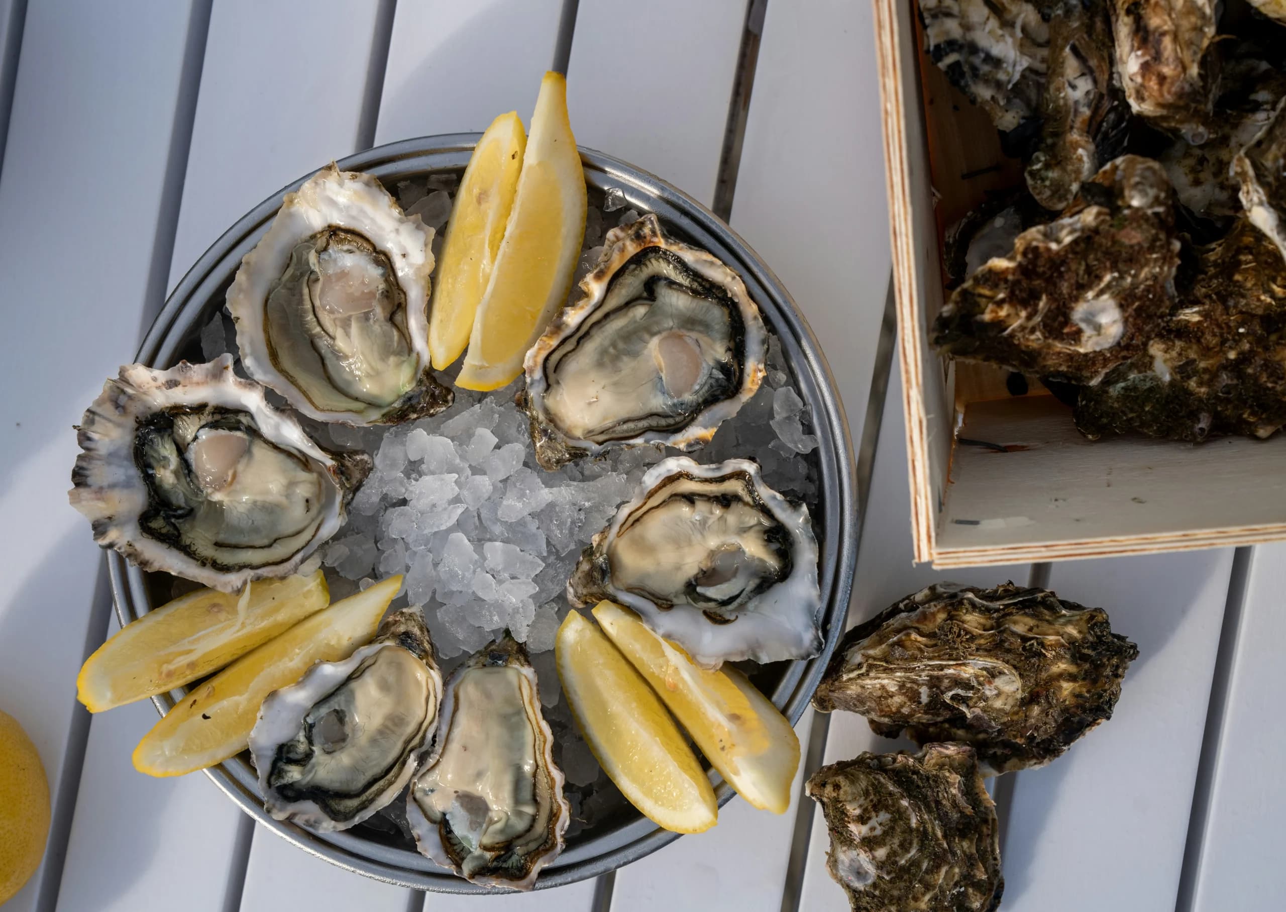 Oyster (Foto: Unsplash/Mitili Mitili)