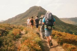 Jangan Cuma Kejar Puncak! 12 Barang Wajib Dibawa dan Hal yang Harus Dicek Sebelum Mendaki