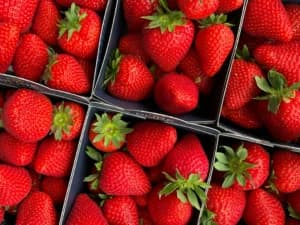 Sering Jadi Topping Dessert, Stroberi Ternyata Punya Banyak Manfaat untuk Kesehatan