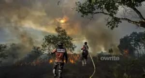 Gambut Mengering, Karhutla Makin Sulit Dipadamkan, Pakar Saranin Pemerintah Ubah Strategi