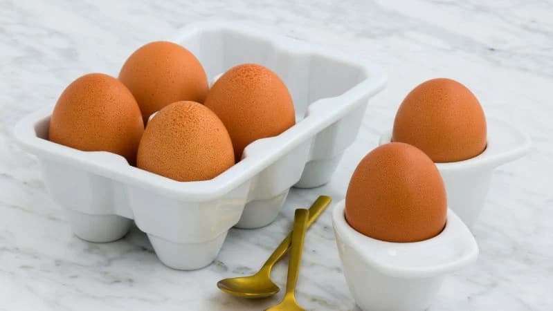 llustrasi telur Omega.