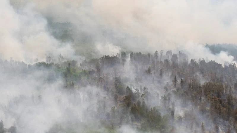 Asap dari kebakaran hutan dan lahan (karhutla).