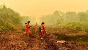 Kalteng Tercekik Asap, BEM UI Turun ke Jalan Desak Pemerintah Tetapkan Karhutla Jadi Bencana Nasional dalam 2×24 Jam