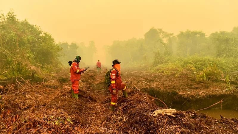 Petugas Manggala Agni Daops Sumatera XII Muara Tebo bersama Pendamping Tahura OKH Dinas Kehutanan Provinsi Jambi melakukan pengecekan titik api di Taman Hutan Raya (Tahura) Orang Kayo Hitam (OKH), Jambi.