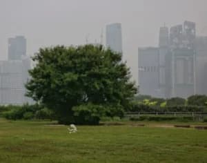 AQI Tembus 191 Imbas Karhutla, Singapura Peringkat Satu Kota Terpolusi di Dunia