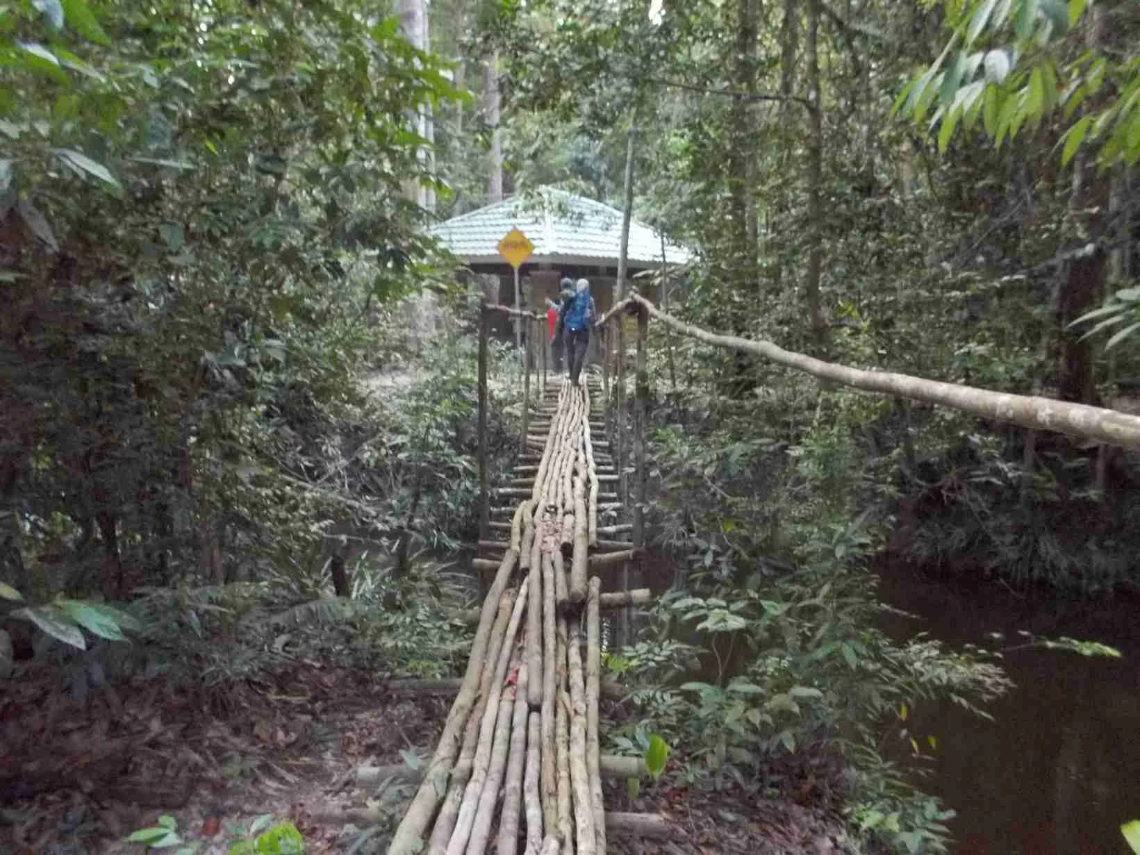 Taman Nasional Tesso Nilo, Riau.