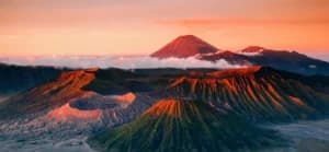 Duka di Bromo: Empat Petugas Karhutla Gugur, BNPB Minta Keselamatan Jadi Utama