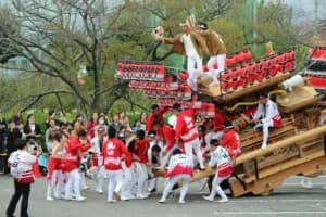 Festival Danjiri Jepang, Tradisi Ratusan Tahun yang Melaju Kencang di Jalanan