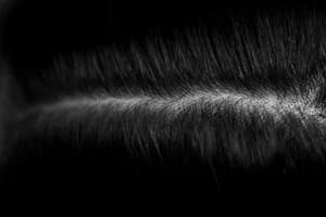 Scalp Aging: Ketika Kulit Kepala Mulai ‘Tua’ dan Bikin Rambut Rusak