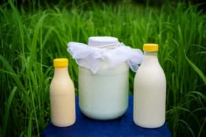 Raw Milk Ramai Diklaim Lebih Sehat, Padahal Bisa Picu Infeksi Berbahaya! Ini Faktanya
