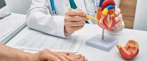 Mengenal TEER, Prosedur Modern untuk Menangani Kebocoran Katup Mitral