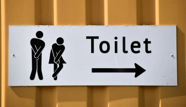 Ilustrasi toilet