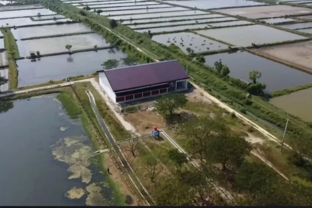 Bikin Geleng Kepala! Ini Lima Lokasi KDMP Dibangun di Tempat Tak Terduga
