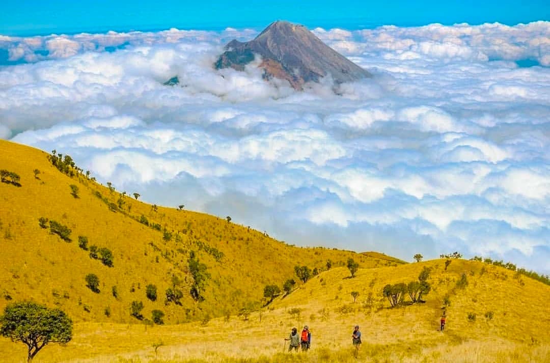 Gunung Merbabu Gunung Merbabu