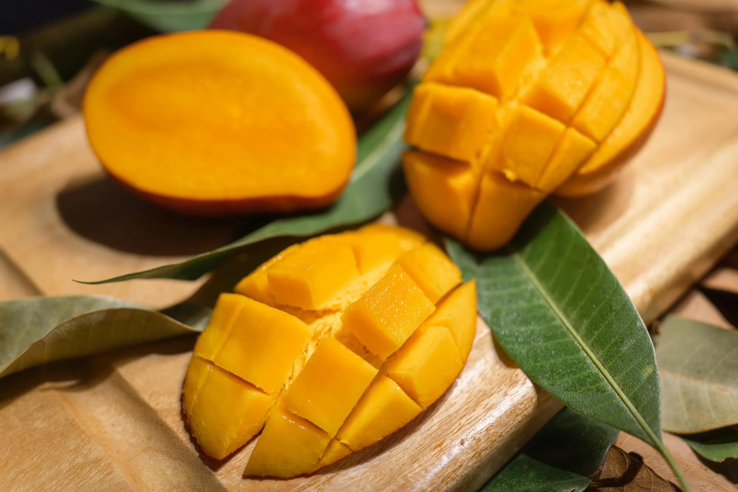 jenis-jenis mangga jenis-jenis mangga
