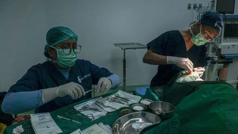 Terancam Gagal Berkarir, 1.023 Dokter Muda Terjebak Status Tak Jelas Terancam Gagal Berkarir, 1.023 Dokter Muda Terjebak Status Tak Jelas