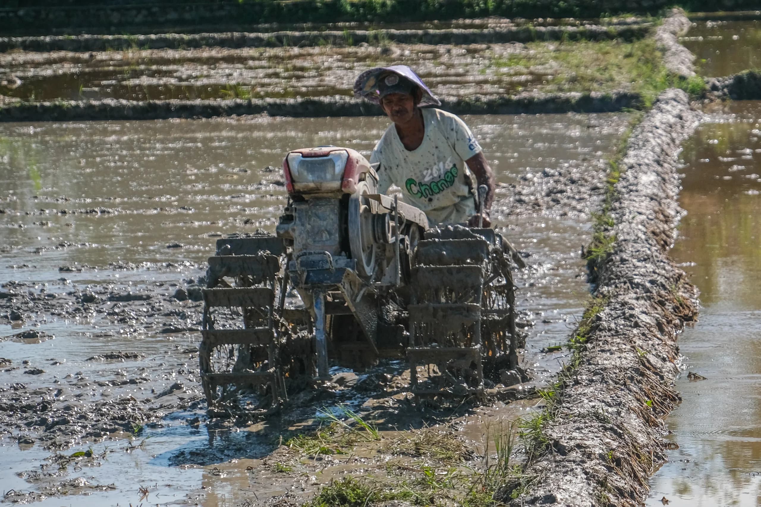 DPR Ingatkan Daerah Jangan Gampang Alih Fungsi Sawah, Kedaulatan Pangan Terancam DPR Ingatkan Daerah Jangan Gampang Alih Fungsi Sawah, Kedaulatan Pangan Terancam
