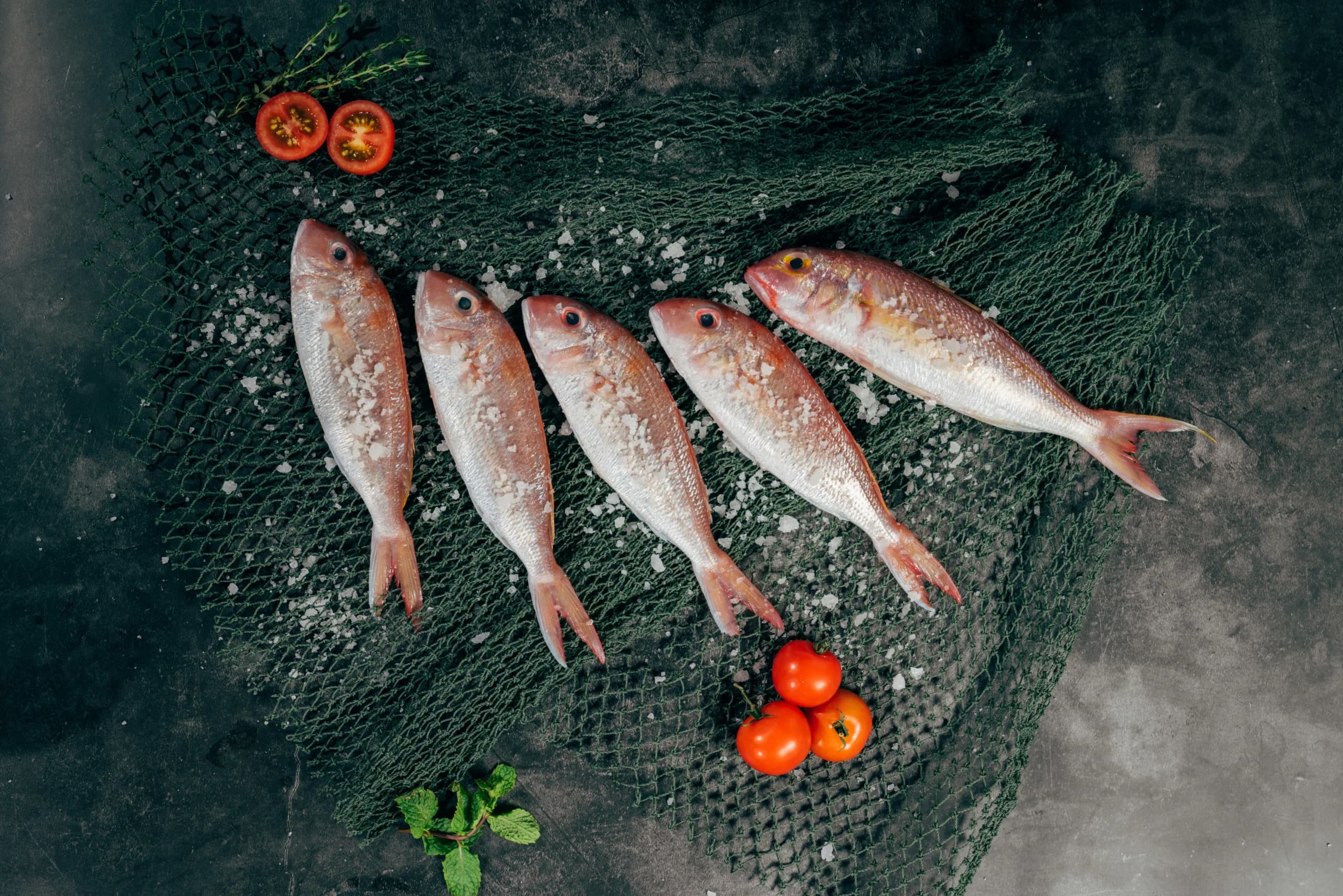 Ikan Ikan