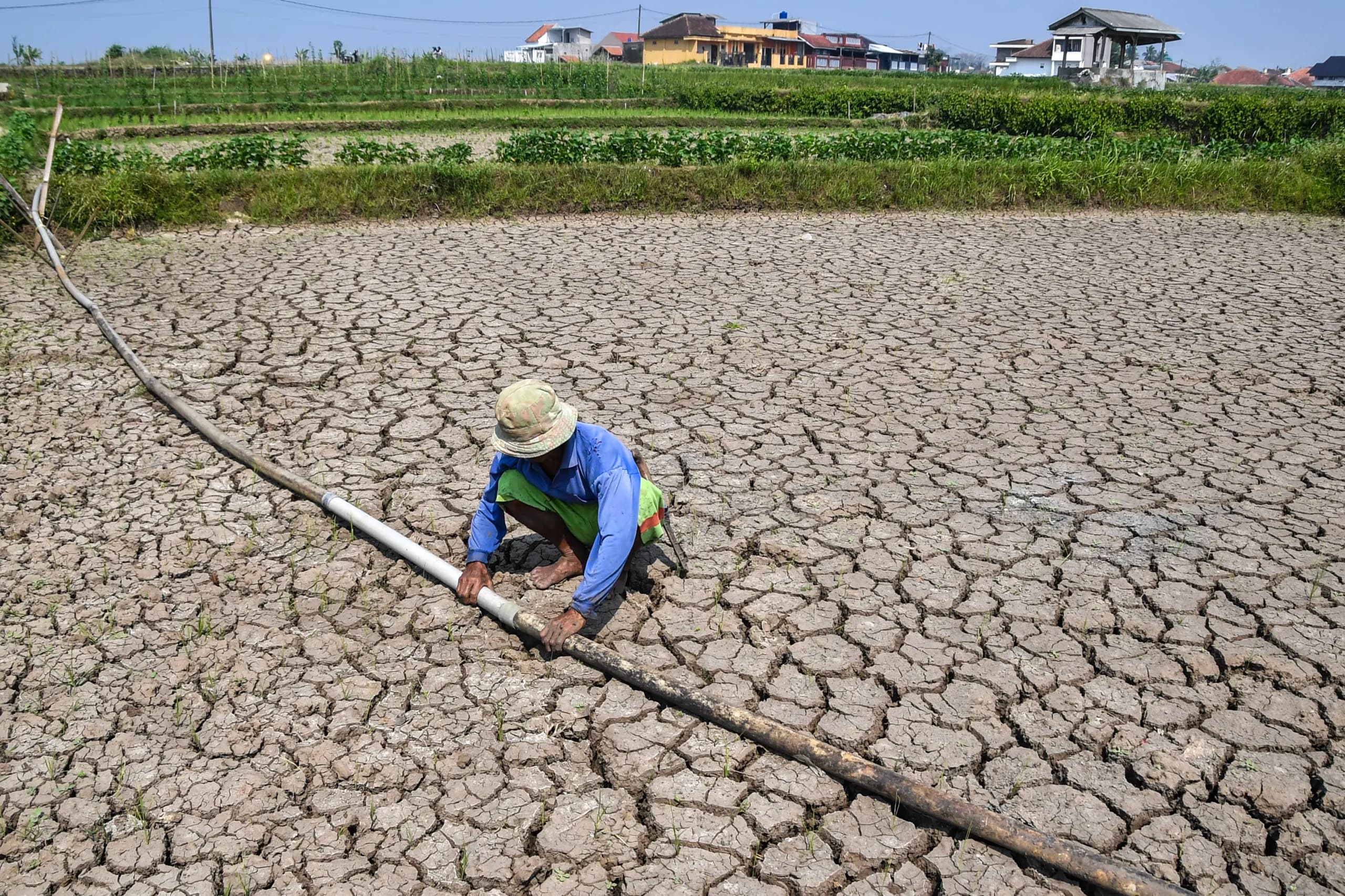 Petani memeriksa pipa air ubi di lahan sawah irigasi anak Sungai Cimulu yang mengering di Kampung Ciwasmandi, Kelurahan Sukajaya, Kecamatan Purbaratu, Kota Tasikmalaya, Jawa Barat, Kamis (16/7/2026). Petani memeriksa pipa air ubi di lahan sawah irigasi anak Sungai Cimulu yang mengering di Kampung Ciwasmandi, Kelurahan Sukajaya, Kecamatan Purbaratu, Kota Tasikmalaya, Jawa Barat, Kamis (16/7/2026).