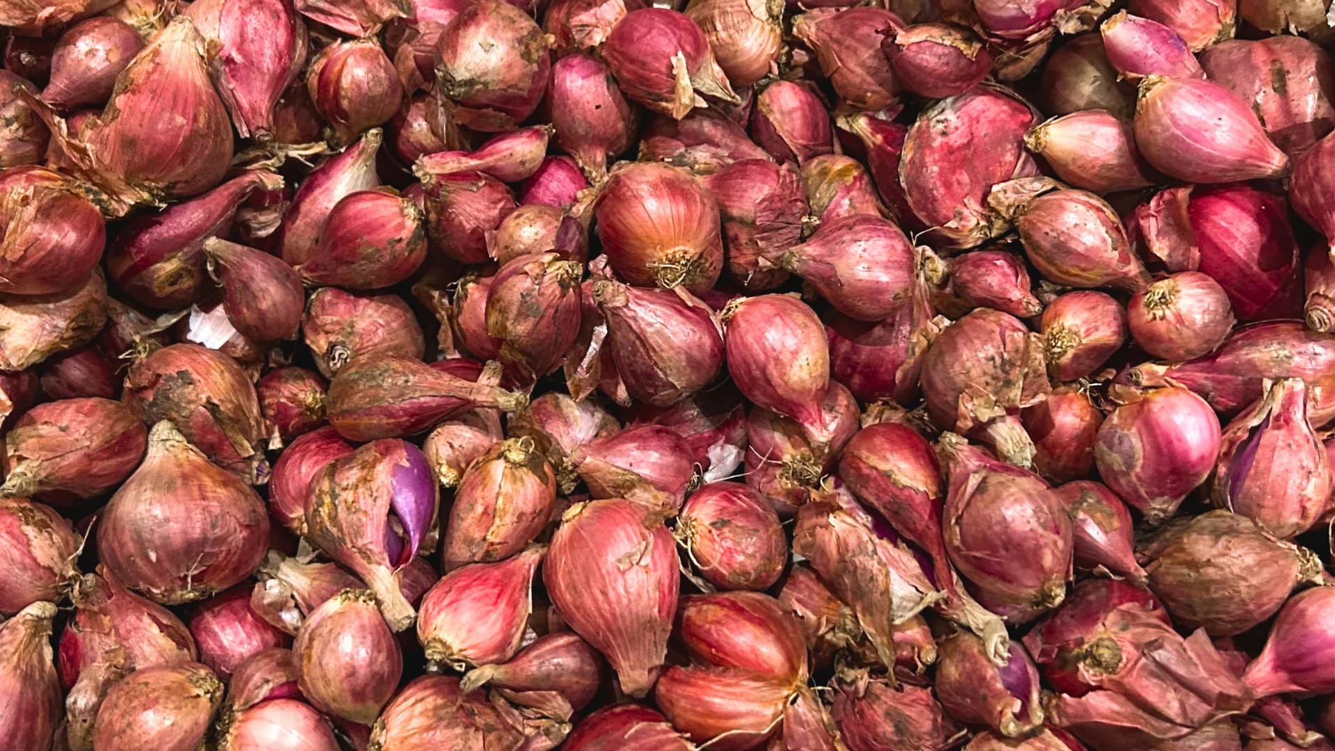Bawang merah Bawang merah