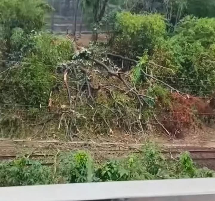 Pohon tumbang di antara Stasiun Universitas Indonesia dan Stasiun Pasar Minggu, 30 September 2026. Pohon tumbang di antara Stasiun Universitas Indonesia dan Stasiun Pasar Minggu, 30 September 2026.