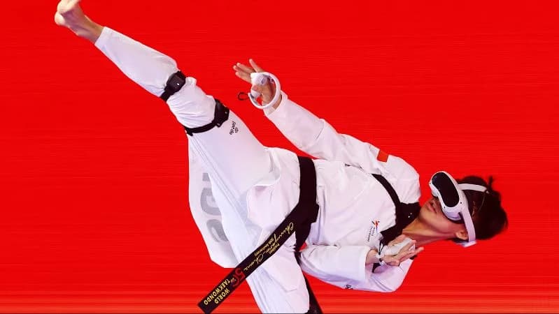 Virtual taekwondo. Virtual taekwondo.