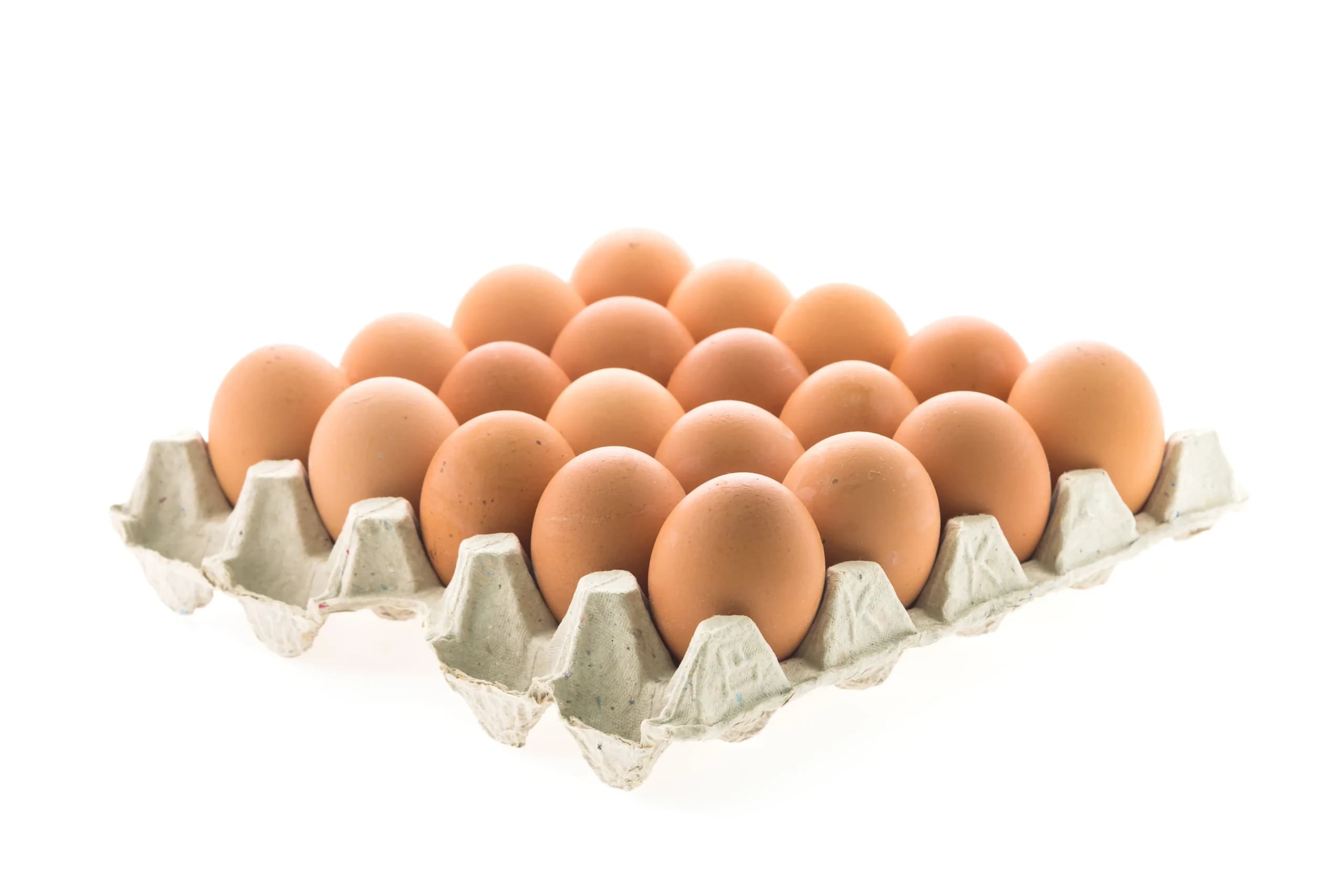 Telur Ayam Telur Ayam