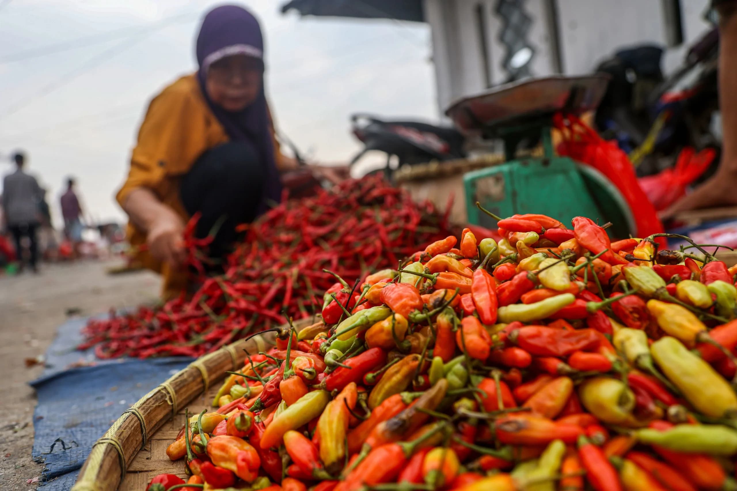 Pembeli memilah cabai yang dijual pedagang di Pasar Baru Bekasi, Kota Bekasi, Jawa Barat Pembeli memilah cabai yang dijual pedagang di Pasar Baru Bekasi, Kota Bekasi, Jawa Barat