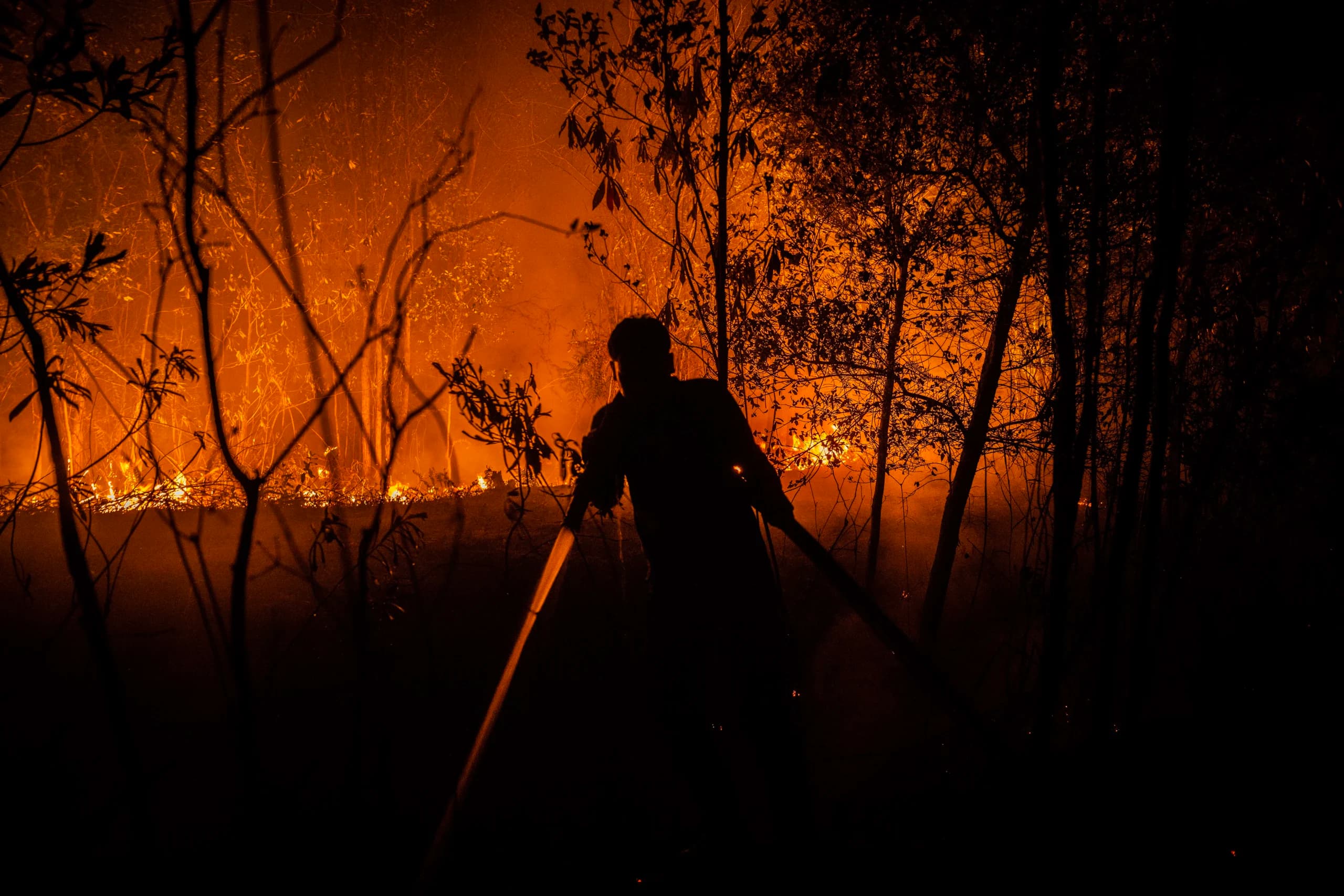 Relawan pemadam kebakaran berupaya memadamkan api yang membakar hutan dan lahan di Kecamatan Sebangau, Kota Palangka Raya, Kalimantan Tengah Relawan pemadam kebakaran berupaya memadamkan api yang membakar hutan dan lahan di Kecamatan Sebangau, Kota Palangka Raya, Kalimantan Tengah