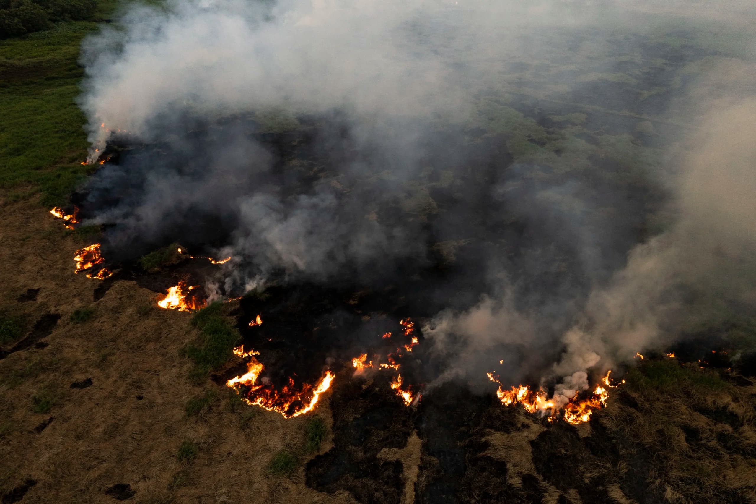 Foto udara asap membumbung di lahan yang terbakar di Tanjung Pauh Hilir, Kerinci, Jambi, Selasa (15/9/2026). Foto udara asap membumbung di lahan yang terbakar di Tanjung Pauh Hilir, Kerinci, Jambi, Selasa (15/9/2026).