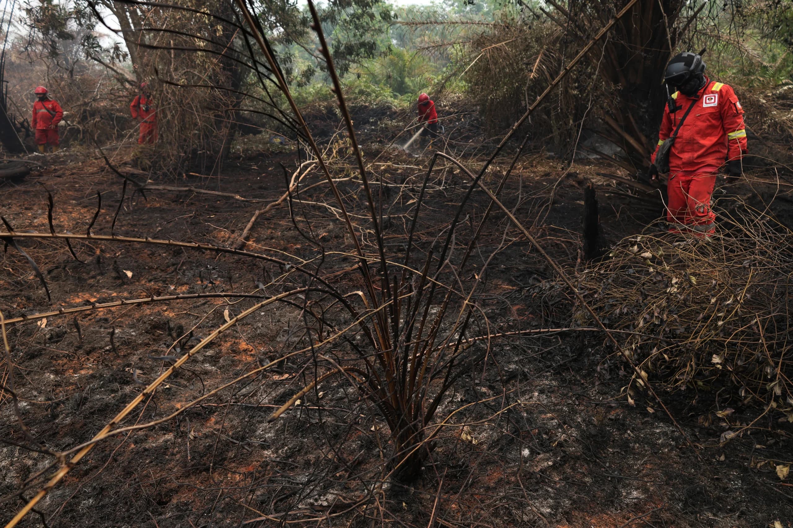 Personel Manggala Agni Daops Kalimantan VIII/Pontianak berjalan di lokasi lahan gambut yang terbakar di Sekunder C, Rasau Jaya 3, Kabupaten Kubu Raya, Kalimantan Barat, Kamis (27/8/2026). Personel Manggala Agni Daops Kalimantan VIII/Pontianak berjalan di lokasi lahan gambut yang terbakar di Sekunder C, Rasau Jaya 3, Kabupaten Kubu Raya, Kalimantan Barat, Kamis (27/8/2026).