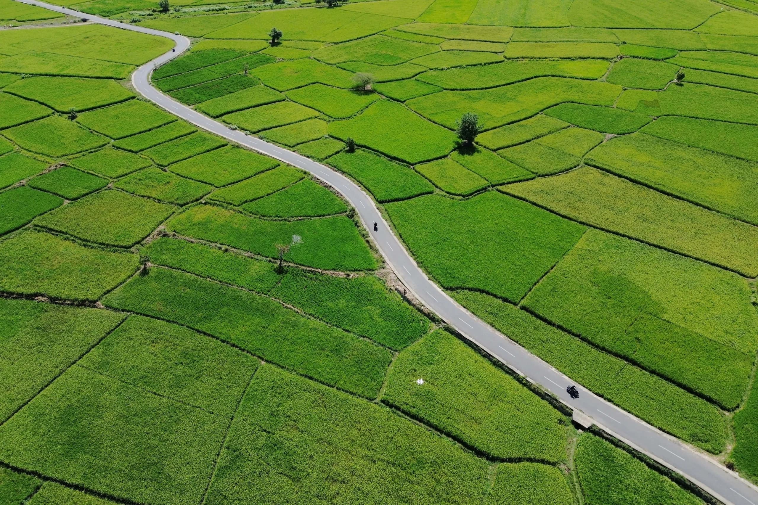 Foto udara lahan persawahan di Desa Atong, Kecamatan Montasik, Aceh Besar, Aceh Foto udara lahan persawahan di Desa Atong, Kecamatan Montasik, Aceh Besar, Aceh
