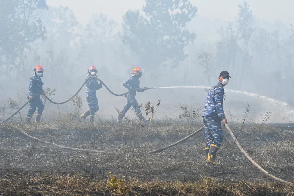 Prajurit TNI Angkatan Udara berupaya memadamkan kebakaran hutan dan lahan (Karhutla) di lahan gambut, Kota Banjar Baru, Kalimantan Selatan Prajurit TNI Angkatan Udara berupaya memadamkan kebakaran hutan dan lahan (Karhutla) di lahan gambut, Kota Banjar Baru, Kalimantan Selatan