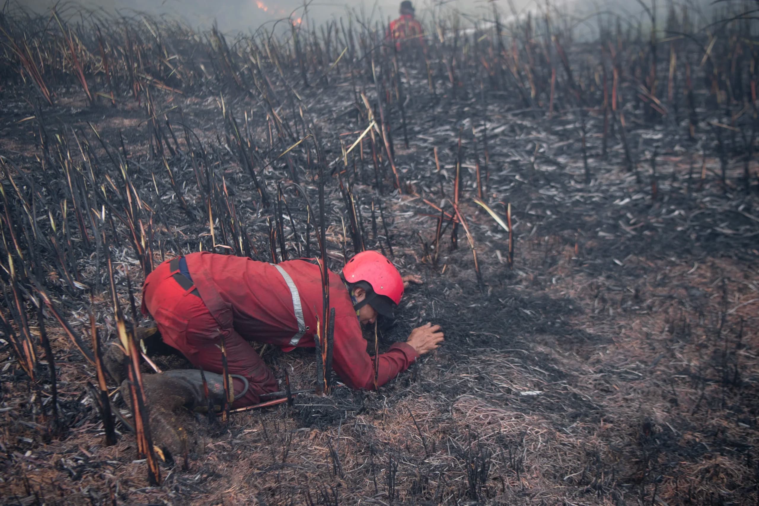 Personel Manggala Agni Daops Sumatera XIV-Banyuasin bersujud untuk menghindari kepungan asap saat memadamkan kebakaran lahan di Desa Muara Baru, Pemulutan, Ogan Ilir (OI), Sumatera Selatan, Jumat (25/9/2026). Personel Manggala Agni Daops Sumatera XIV-Banyuasin bersujud untuk menghindari kepungan asap saat memadamkan kebakaran lahan di Desa Muara Baru, Pemulutan, Ogan Ilir (OI), Sumatera Selatan, Jumat (25/9/2026).