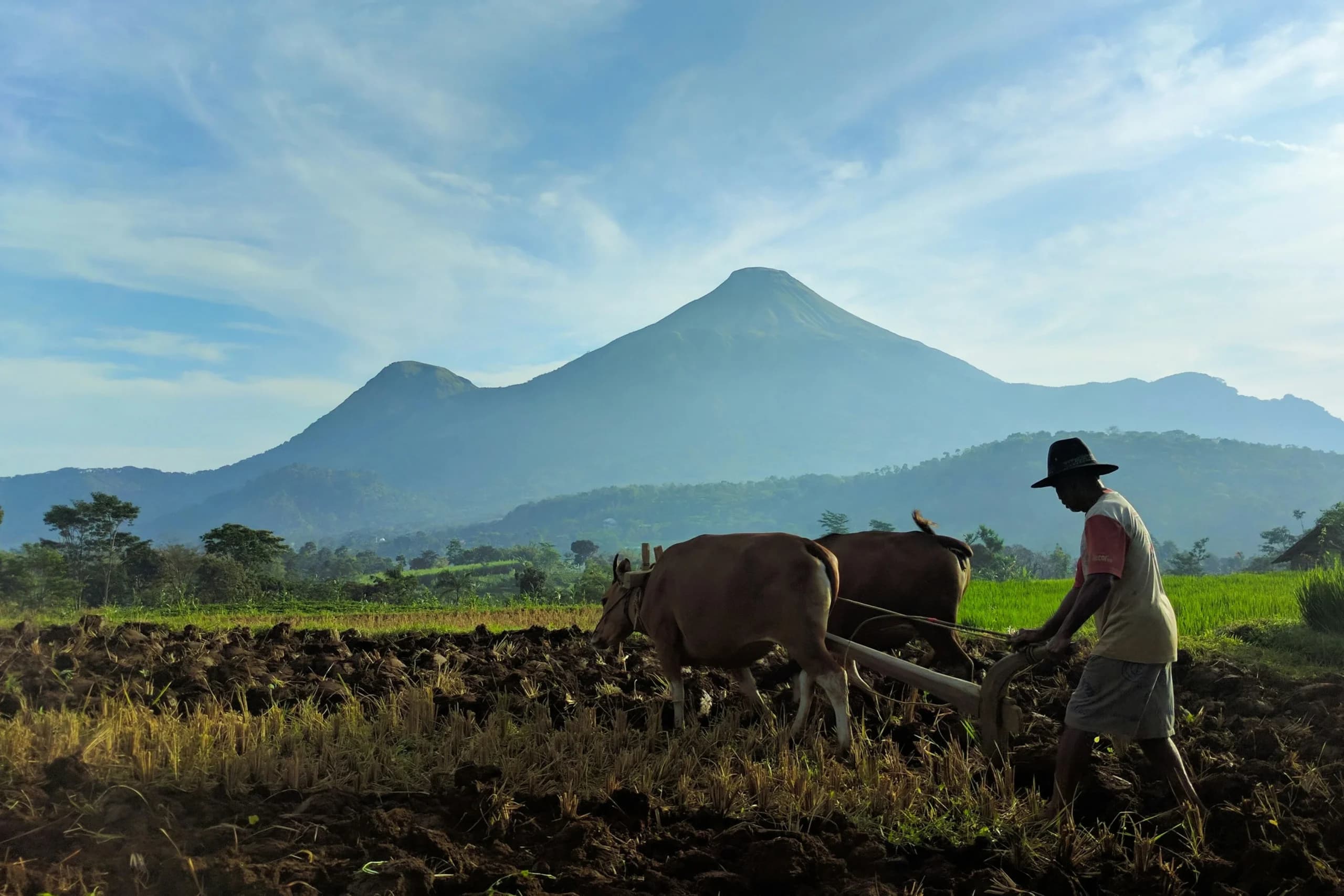 Seorang petani sedang bekerja di ladang. Seorang petani sedang bekerja di ladang.