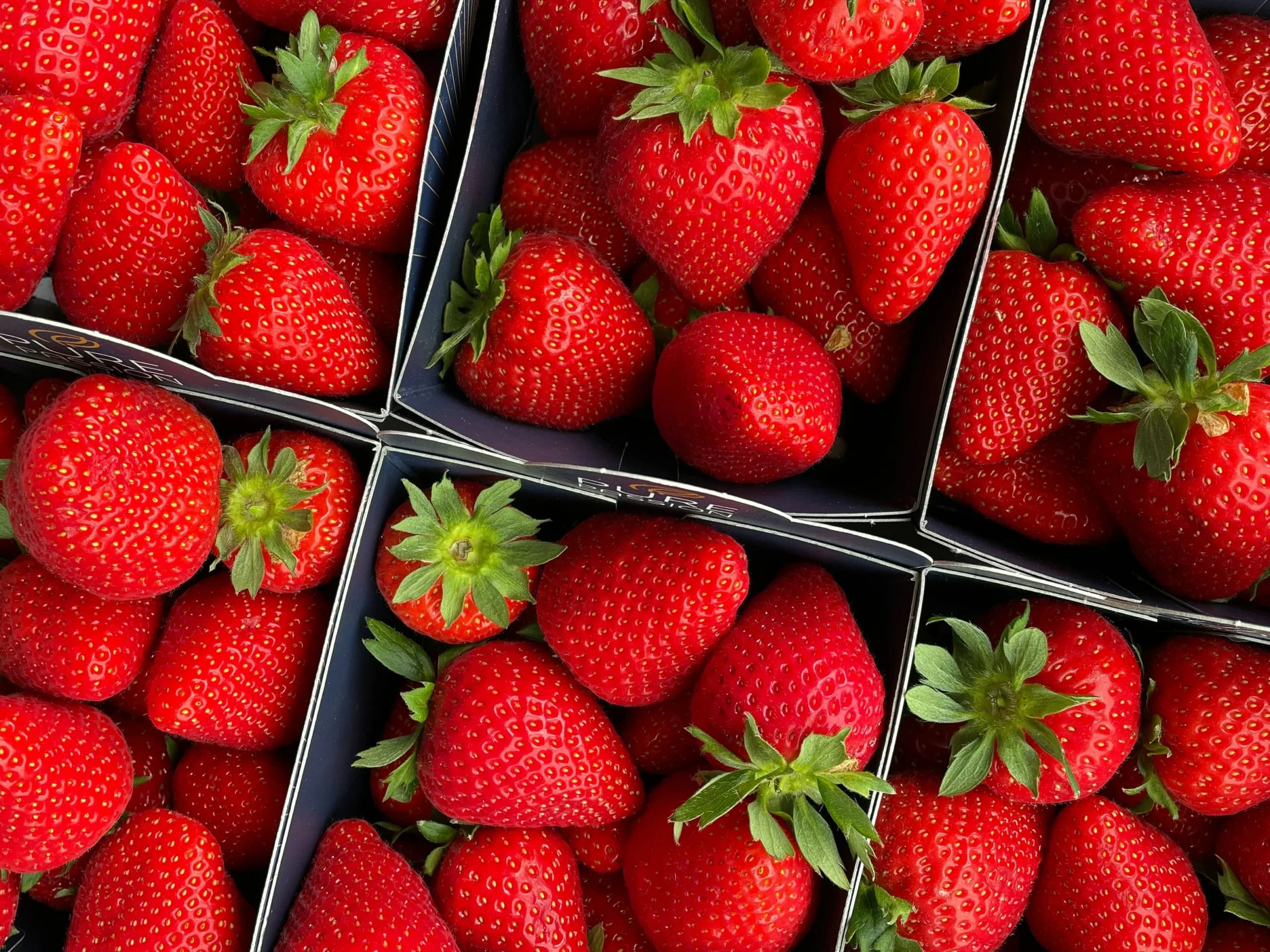 Buah Stroberi Buah Stroberi
